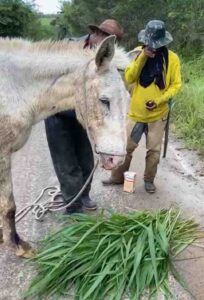 O ser humano precisa ver a causa animal com um olhar humano Empresário, publicitário e produtor rural, Júnior Falcão, 64 anos, fala sobre a urgência de políticas públicas, respeito e empatia na causa animal em Feira de Santana