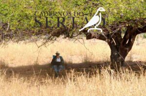 ‘Cadernos do Sertão 2025’ reafirma o papel da literatura como força criadora e memória coletiva Com edição coordenada por Humberto de Oliveira, obra reúne autores e visões diversas sobre o sertão, consolidando a revista como espaço de reflexão e expressão artística