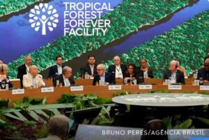 Fundo para florestas tropicais atinge aporte de US$ 5,5 bilhões