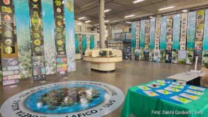 Sem algas, não haveria planeta habitável Exposição na Uefs revela por que esses organismos sustentam a vida na Terra