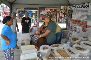 A coluna Feira em História, assinada pelo jornalista Zadir Marques Porto, traz fatos históricos e curiosos sobre a cidade Raizeiros e curandeiros ainda existem e mostram conhecimento