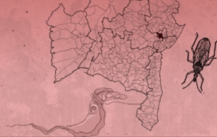 Pesquisa da Fiocruz mostra que Doença de Chagas permanece em Feira de Santana Estudo identifica casos positivos em ação de triagem cardíaca e reforça atenção à circulação do parasita na região