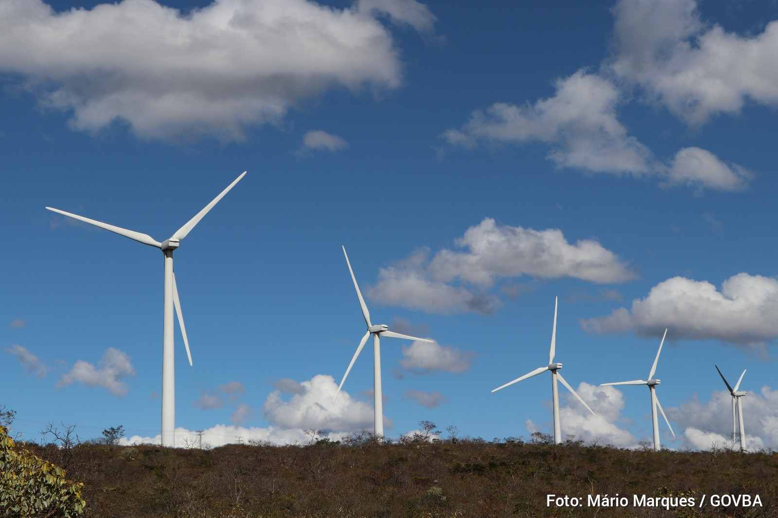 Bahia lidera o Brasil em energia eólica e avança na solar Estado combina potencial natural e investimentos para consolidar protagonismo na geração de energia limpa e impulsionar economias locais