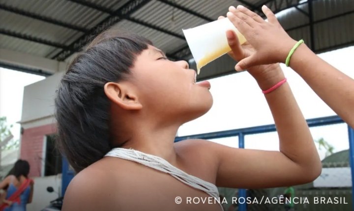 Dieta de povos tradicionais piora com avanço de ultraprocessados Estudo nacional aponta aumento do consumo de alimentos industrializados entre povos e comunidades tradicionais, enquanto frutas e feijão perdem espaço na alimentação