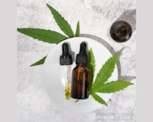 Cannabis medicinal avança, mas acesso ainda é restrito no Brasil Uso terapêutico cresce com novas regras da Anvisa, porém alto custo e estigma mantêm tratamento distante da maioria