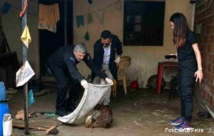 Cães mortos eram descartados em fossa dentro de imóvel no Tomba Operação conjunta da Polícia Civil e da Comissão de Proteção e Defesa Animal da OAB Feira resgatou 13 cães em situação de abandono e insalubridade