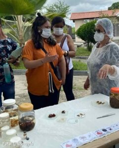Pesq9uisa com participação da Uefs aponta desafio para soro contra veneno de coral Estudo internacional identificou diferenças entre venenos de corais-verdadeiras da Bahia e recomenda que variações regionais sejam consideradas na produção de antivenenos As pesquisadoras Ilka Biondi e Dulcineia Ferreira Andrade, do Laboratório de Animais Peçonhentos e Herpetologia da Universidade Estadual de Feira de Santana (LAPH/Uefs), participaram de um estudo que identificou diferenças importantes nos venenos de corais-verdadeiras encontradas na Bahia. Publicado em junho de 2026 na revista científica internacional Biochimie, o trabalho aponta desafios para a eficácia dos soros utilizados no tratame