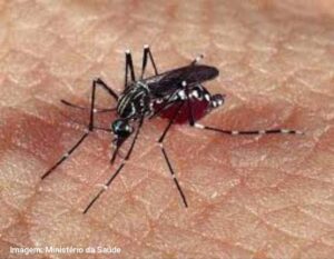Feira confirma 777 casos de chikungunya, mas balanço não esclarece ritmo da transmissãoPublicação de setembro não informa se os registros estão acima do esperado para o período nem apresenta a classificação epidemiológica atual do município