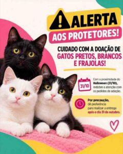 Grupos de cuidadores de animais, veterinários e voluntários de Feira de Santana alertam para os cuidados com a doação de gatos antes do Halloween, celebrado em 31 de outubro. O material destaca gatos pretos, brancos e frajolas e recomenda, por precaução, que a entrega aos adotantes seja feita após essa data. O alerta também se dirige a quem já possui animais, para reforçar a segurança e evitar fugas e furtos. A orientação é de prevenção, sem relato de casos específicos no material divulgado e sem associar maus-tratos a crenças religiosas. Proteger os animais e respeitar a liberdade de crença são compromissos que caminham juntos. Confira o alerta no segundo slide. #FeiraDeSantana #ProteçãoAnimal #AdoçãoResponsável #AdoçãoDeGatos #FeiraHoje
